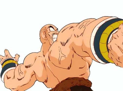 nappa02.jpg