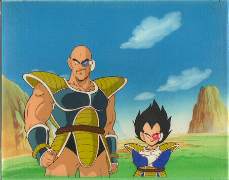 nappa04.jpg