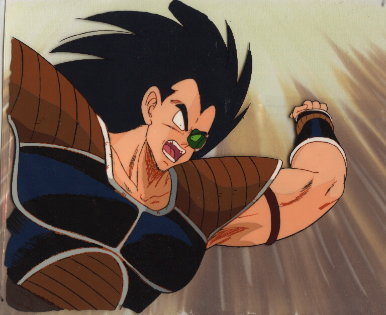 raditz03.jpg